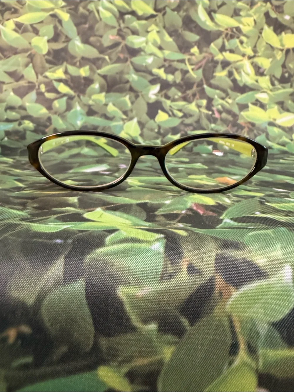 Kate Spade Brown Oval Women's Reading Glasses with Lime Green Temples